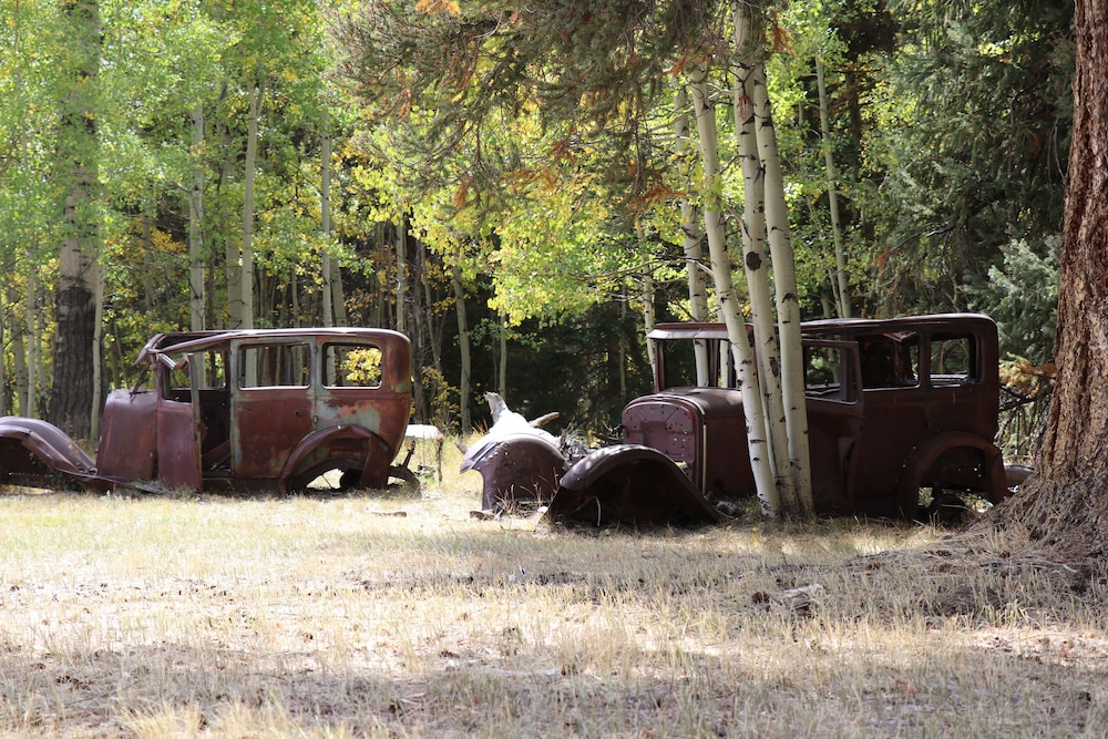 Arrowhead Mountain Lodge - photo 64