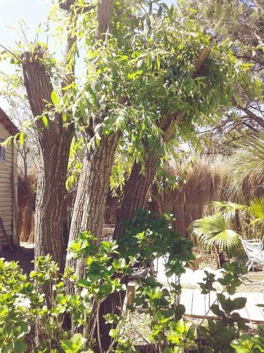 Posada Valizas - last minute hotel in Unknown City