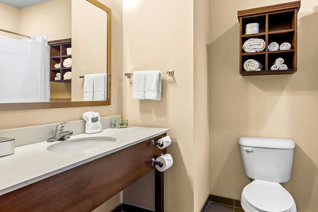 Best Western St. Louis Airport North Hotel & Suites - photo 24