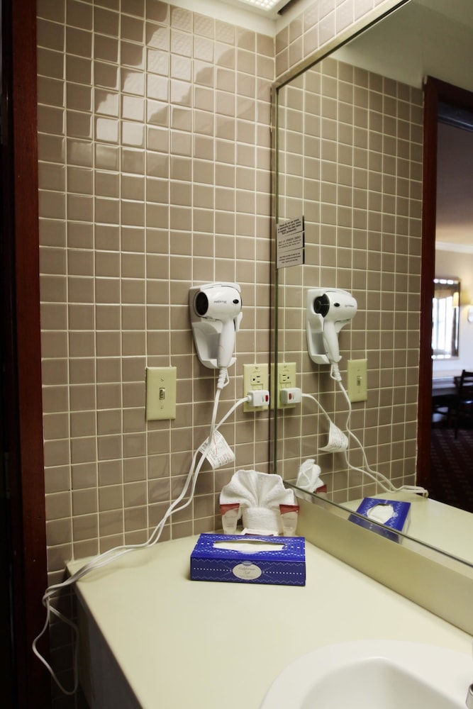 Metro Plaza Hotel - photo 22