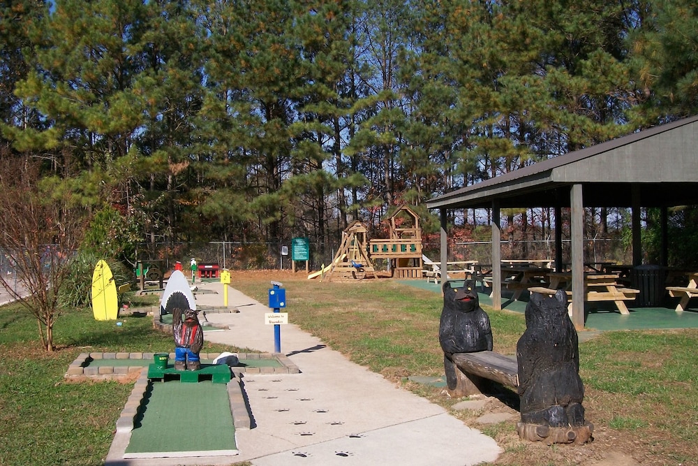 The Villas at Coosawattee River Resort - photo 124