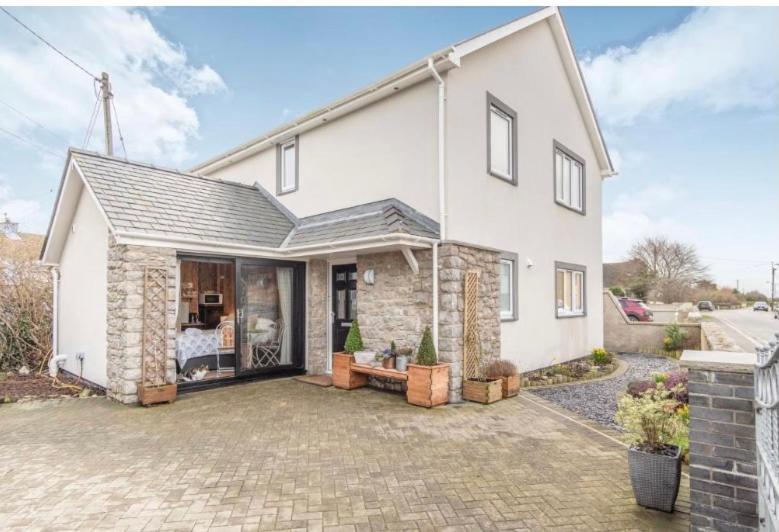 Pinecones in Valley, United Kingdom