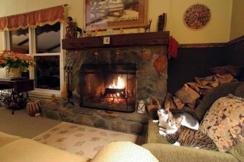 Weathertop Mountain Inn - photo 8