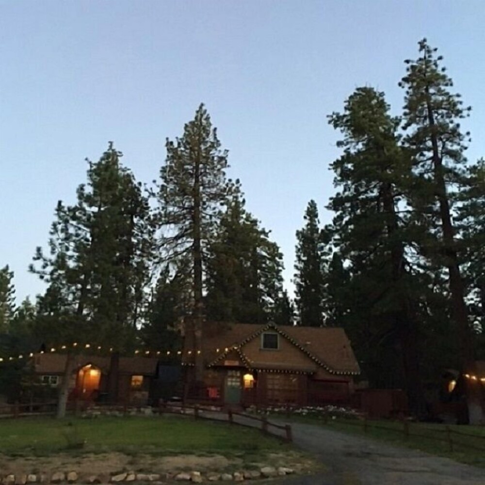 Golden Bear Cottages - photo 129