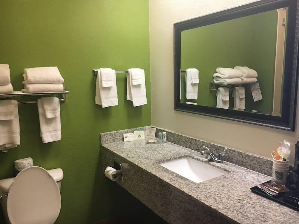 Quality Inn & Suites Airport - photo 30