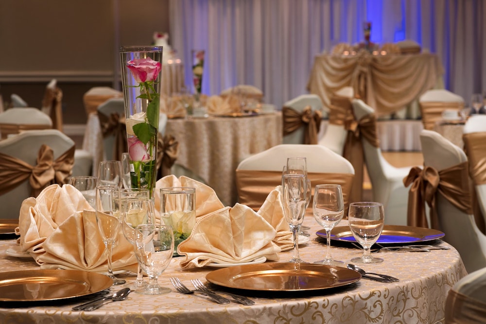 Holiday Inn Washington Dulles International Airport by IHG - photo 33