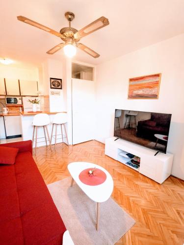 DeMass Apartment Cozy Free Parking and WiFi