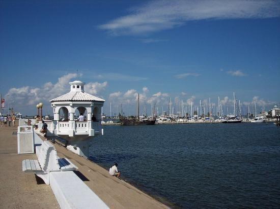 Super 8 Corpus Christi Bayfront Area - photo 10