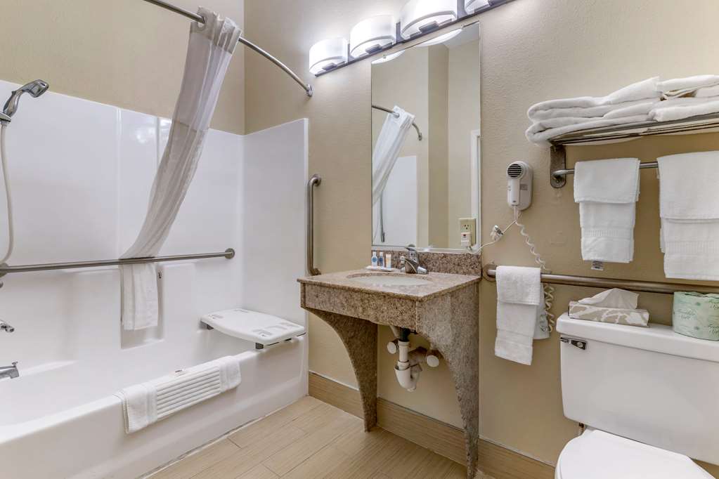 Comfort Inn & Suites Statesboro University Area - photo 12