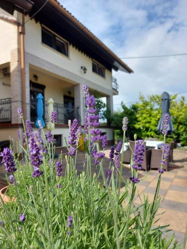 Apartman Nada — 4-Star Luxury Hotel in Ozalj, Croatia