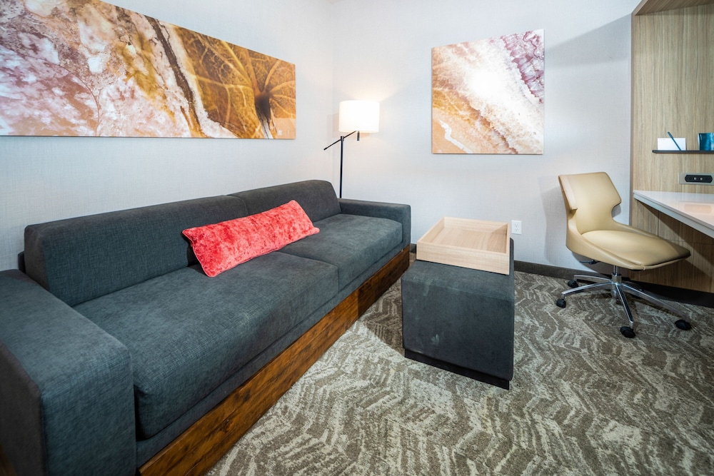 SpringHill Suites by Marriott Kenosha - photo 19