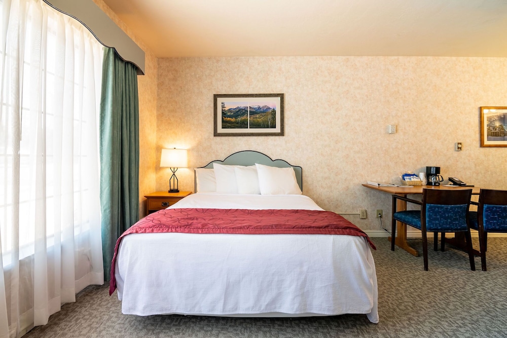 Swiss Alps Inn - photo 23