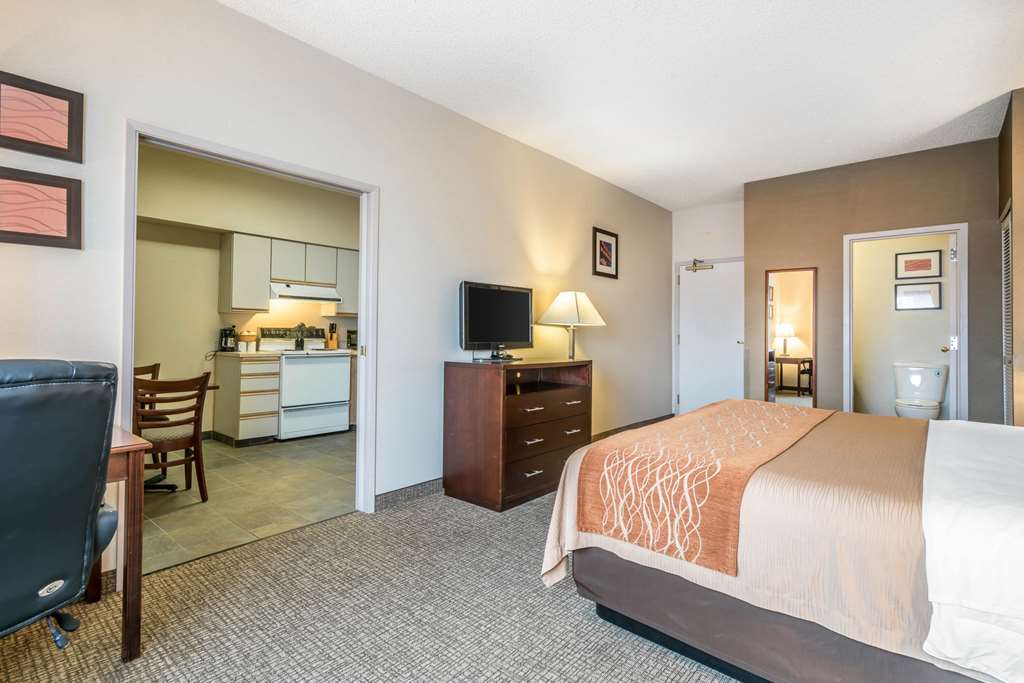 Comfort Inn & Suites Seattle North - photo 11