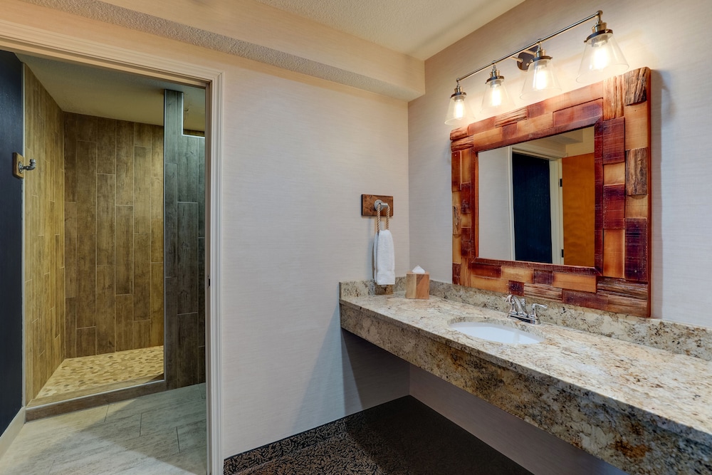Stoney Creek Hotel Peoria - photo 29