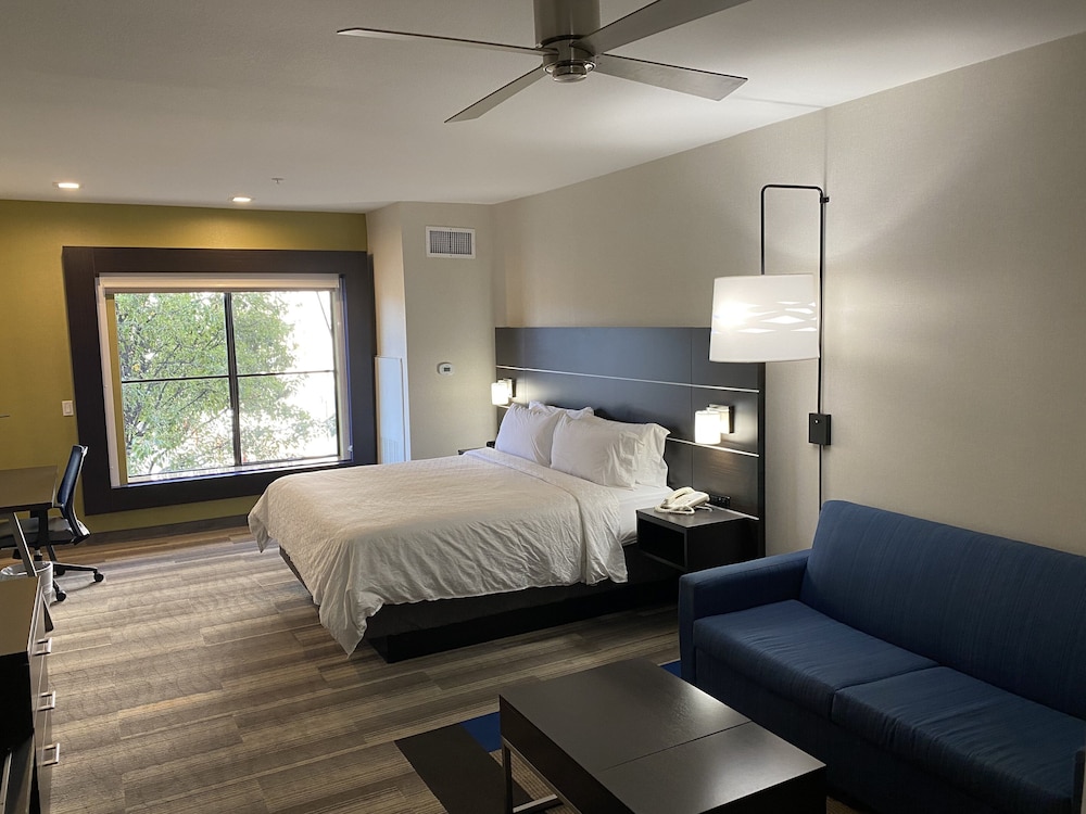 Holiday Inn Express Hotel & Suites El Dorado Hills - photo 38
