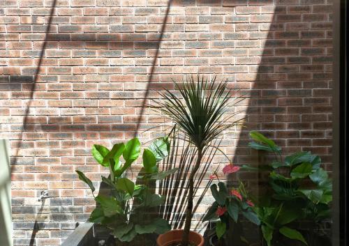 Brickyard at 6 in Ipoh, Malaysia