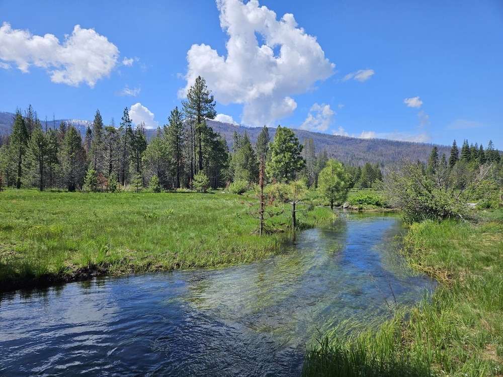 The Black Forest Lodge - photo 26