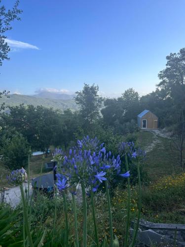 Monkey Tiny Barnhouse with amazing views at ZevariClub in Unknown City, Portugal