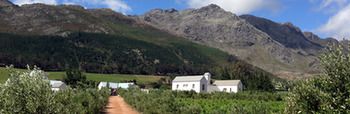 Gooding's Groves Olive Farm & Guest House