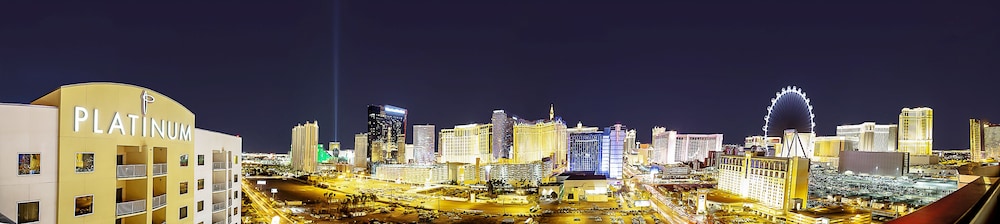 The Platinum Hotel - photo 52