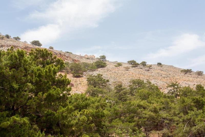 Panorama Rooms — Chora Sfakion — photo 4