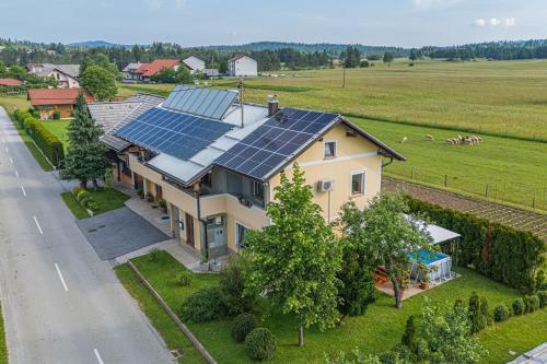 House Dijana With Pool — Nova Vas — photo 2