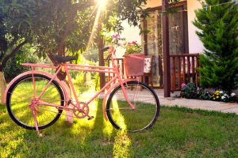 Faralya Misafir Evi - last minute hotel in Fethiye