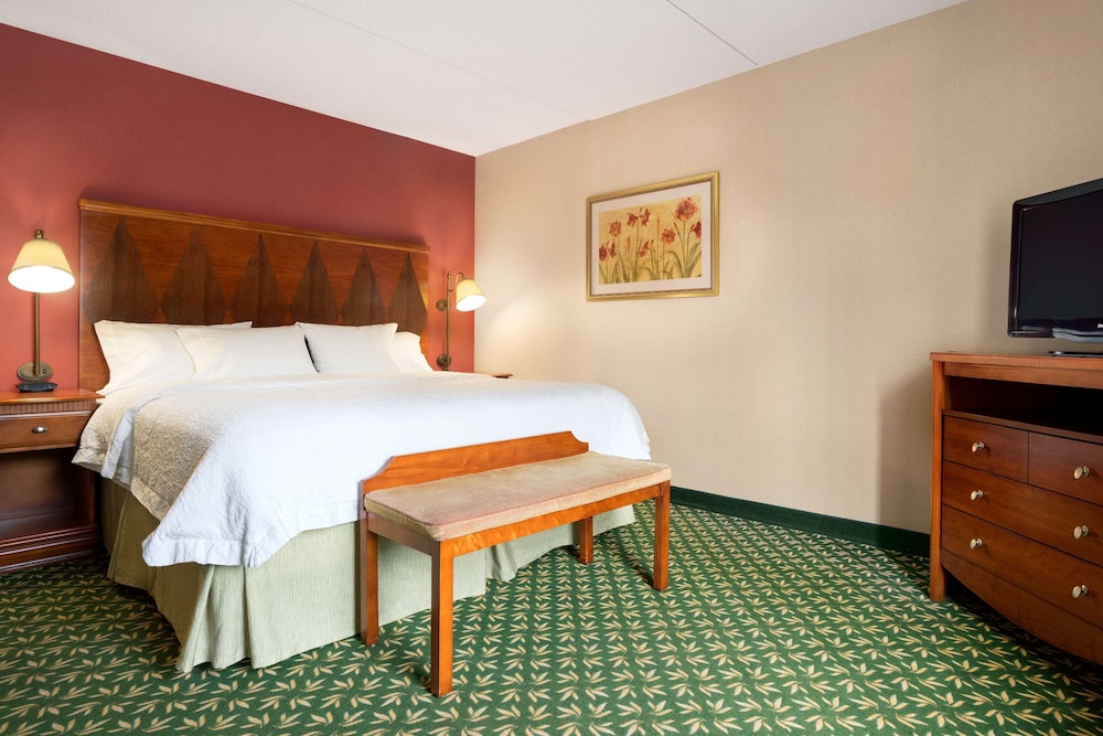 Hampton Inn & Suites Williamsburg Central - photo 10