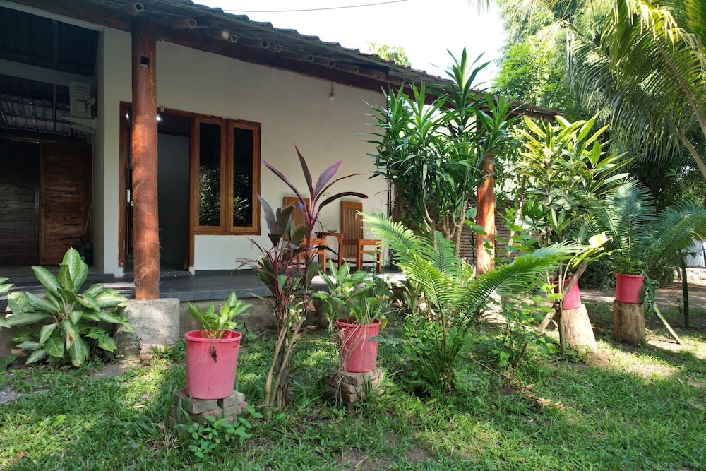 Coconut homstay — Taliwang — photo 3