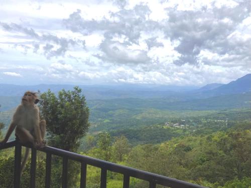Hotel SkyFall in Haputale, Sri Lanka