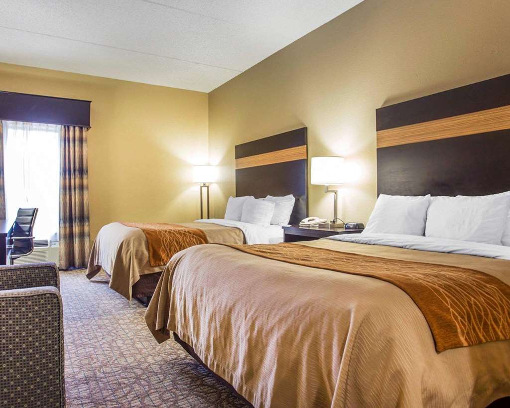 Comfort Inn & Suites at Stone Mountain - photo 14