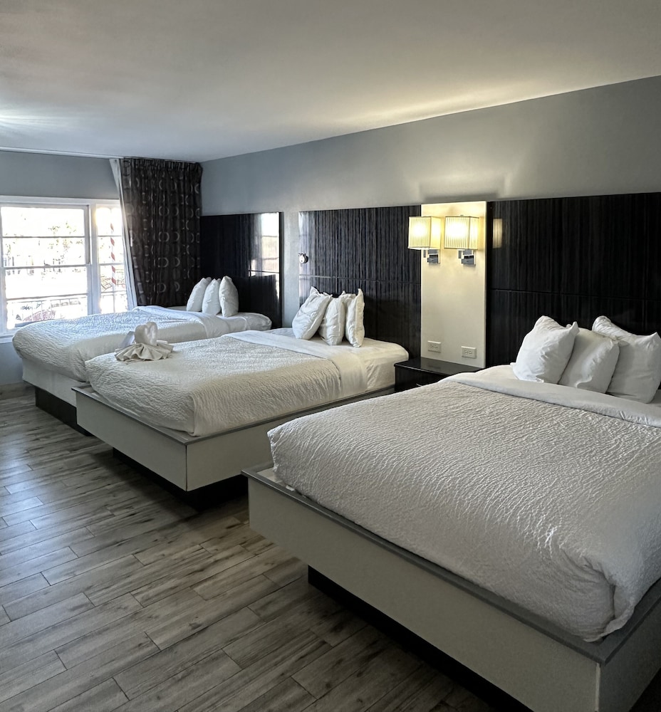 Marion Motor Lodge - photo 19