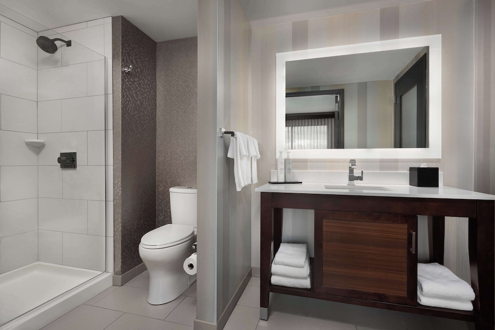 Embassy Suites by Hilton Knoxville West - photo 16