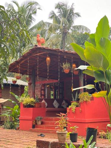 Surangi Homestays in Arambol, India