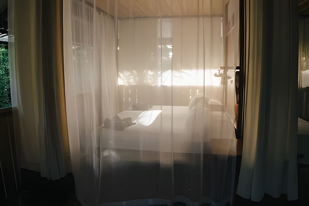 Tumbo de las Olas in Puerto Jimenez, Costa Rica