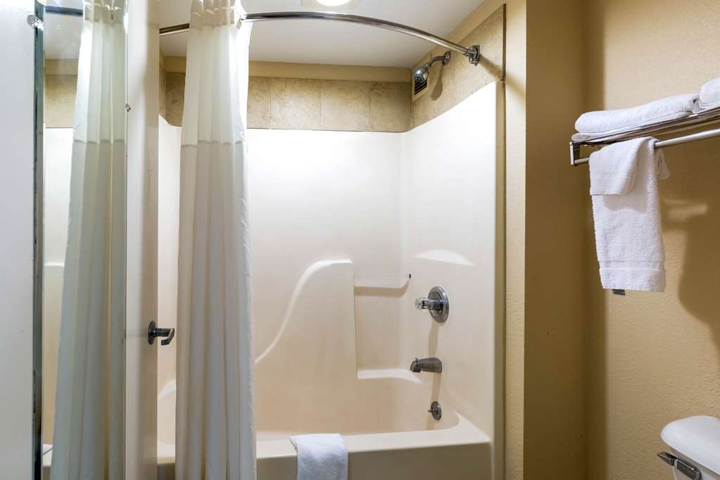 Quality Inn Alexandria - photo 15