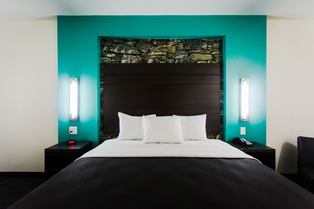 Palacio Royale Inn Boutique Katy - photo 16