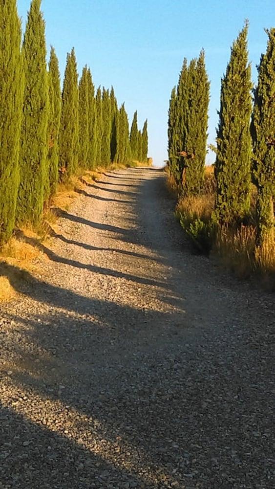 Domaine Conscience — hotel in Ornaisons
