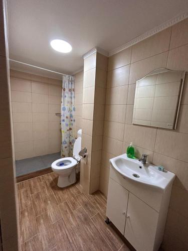 Moșia lu’ Mișu — Ocna Sibiului — photo 2
