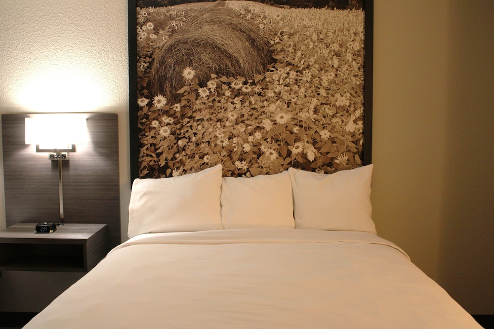 Super 8 by Wyndham Lamar - photo 18
