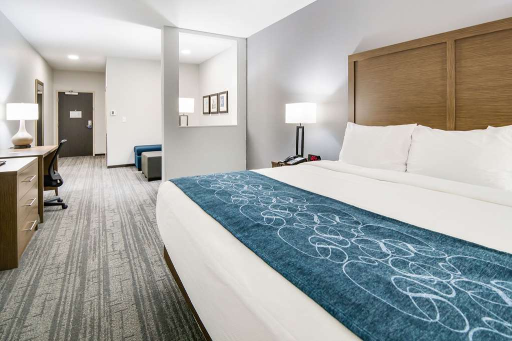 Comfort Suites DeSoto Dallas South - photo 37