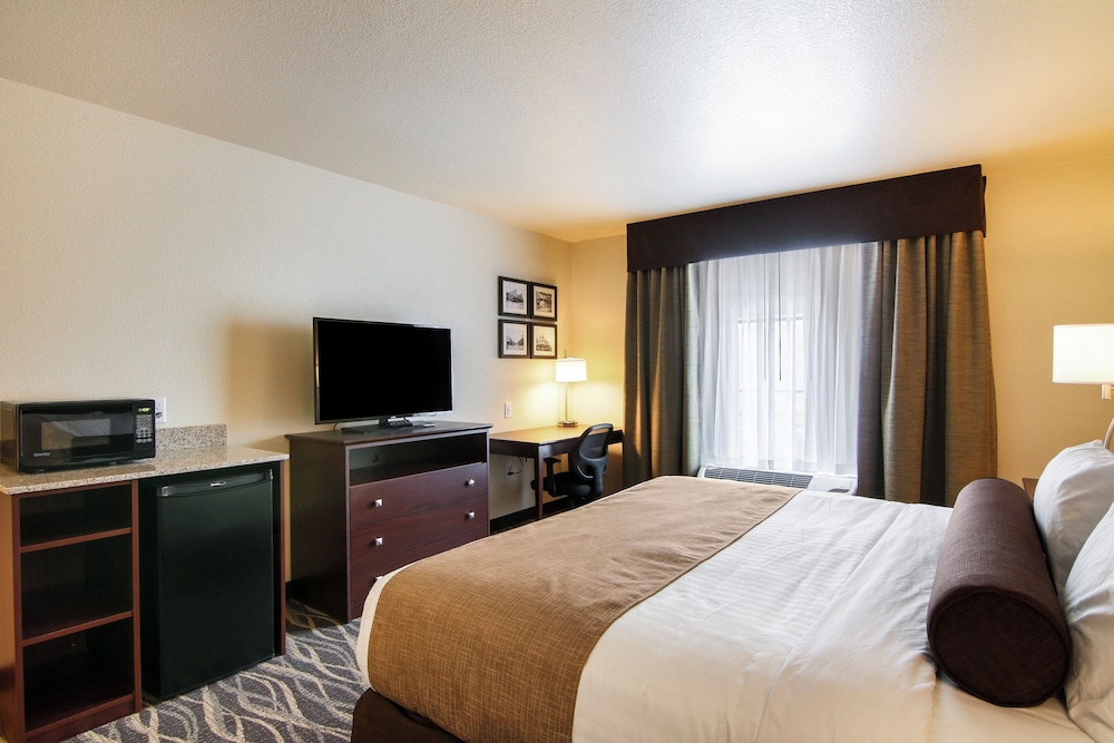 Cobblestone Inn & Suites at UW Stout Downtown Menomonie - photo 14