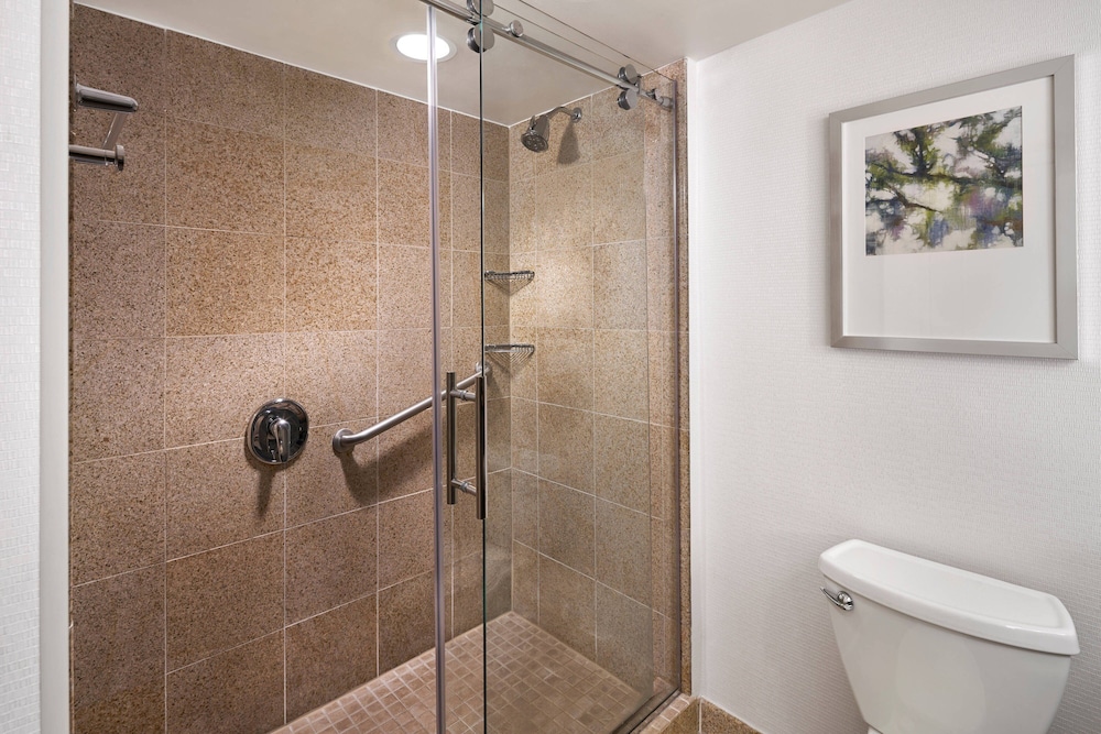 Delta Hotels by Marriott Chesapeake Norfolk - photo 15