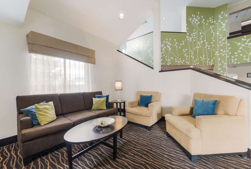 Rodeway Inn Knoxville Central Avenue Pike - photo 3