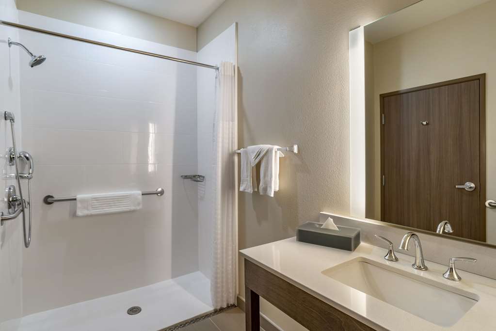 Comfort Inn & Suites Downtown near University - photo 34
