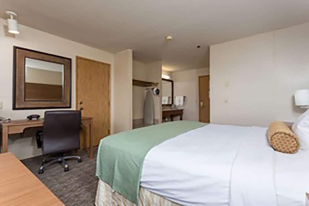 Yuma Inn & Suites - photo 6