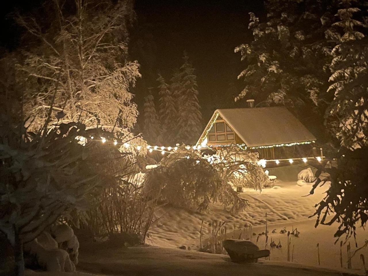 Viesu Nams Noras - last minute hotel in Unknown City