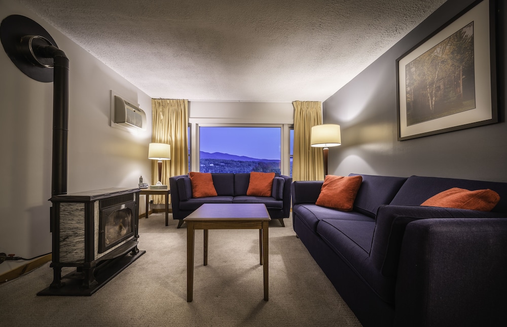 Sun & Ski Inn And Suites - photo 69