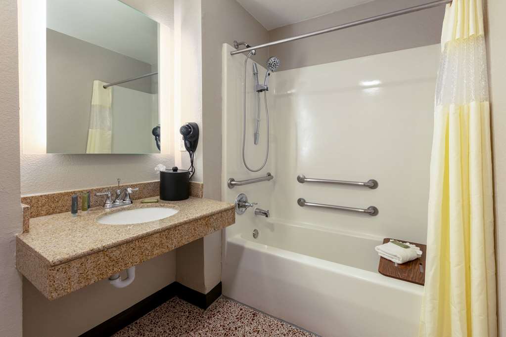Wingate by Wyndham DFW North Irving - photo 42
