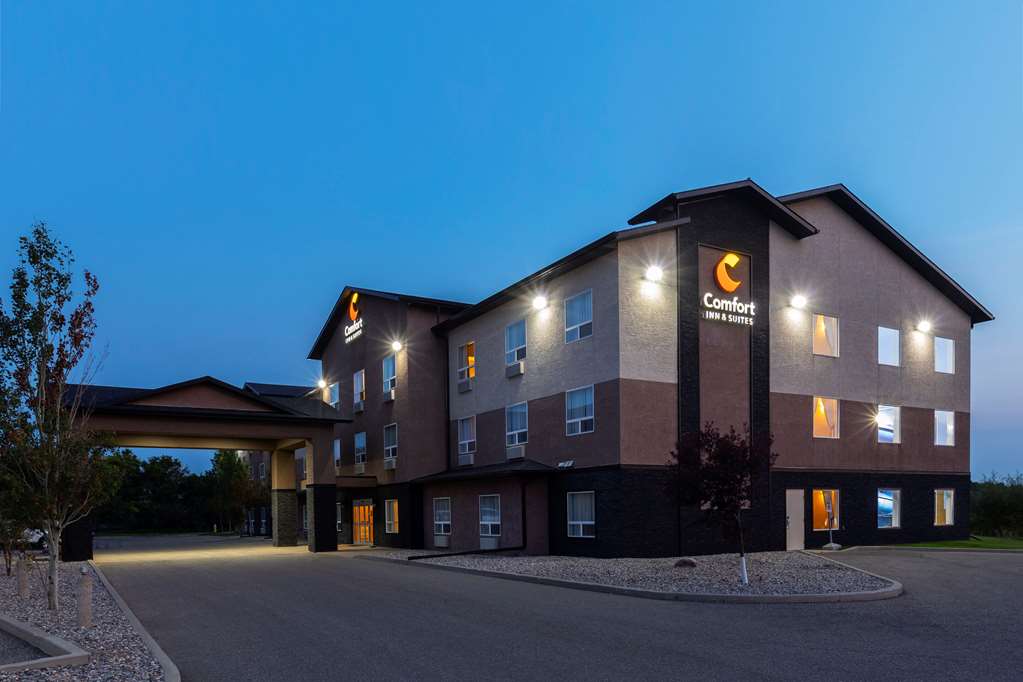 Comfort Inn & Suites — hotel in Virden